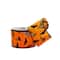 2.5" x 20ft. Bat & Witch Hat Wired Tafetta Ribbon by Celebrate It® Halloween